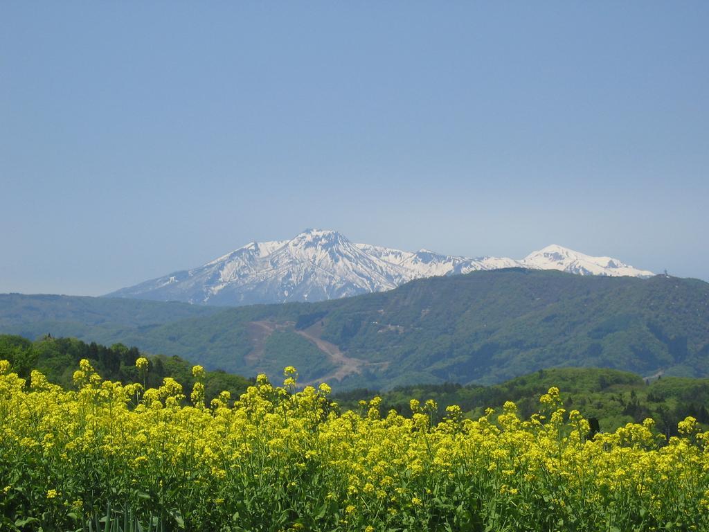 Marushige Villa Nozawaonsen Buitenkant foto